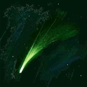 Meet your Posher, Ronald